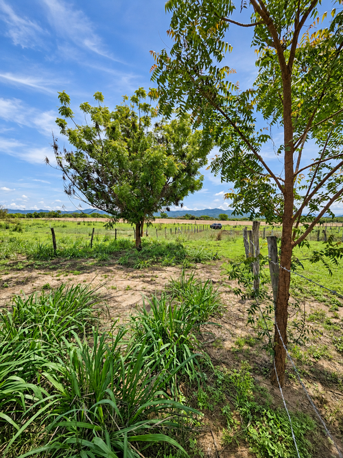 Terreno El Rosedal - Costa Oaxaca